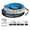Jandei Tira LED 24V RGBW Y WW Interior 60leds SMD5050 5 Metros 2 Jandei Tira LED 24V RGBW Y WW Interior 60leds SMD5050 5 Metros -Trio Ventas 12940786 1