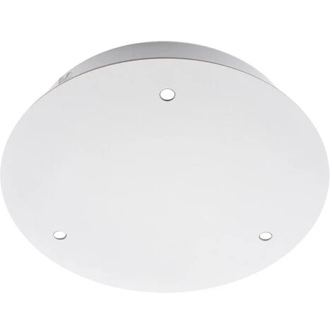 Florón Redondo Blanco, Ø250mm 4 Florón Redondo Blanco, Ø250mm - Imagen 2