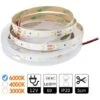 Jandei Tiras LED 12V Blanco Frío 6000K 300LED Bobina 5 Metros IP20 Interior SMD2835 Base Adhesiva De Alta Calidad 3M. Corte Cada 5 Centímetros.