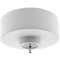 Florón Redondo Blanco, Ø75mm, Ø6mm -Trio Ventas 8922861 4