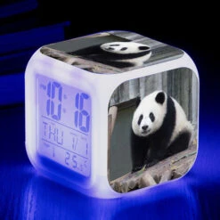 ZOLGINAH Panda LED Despertador, Despertador De Noche Para Niños, Cuadrado, Pantalla LCD Iluminada, Diseño De Panda (9)